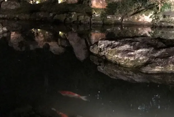 青蓮院門跡の写真・動画_image_171025