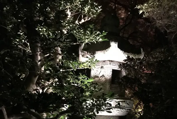 青蓮院門跡の写真・動画_image_171028