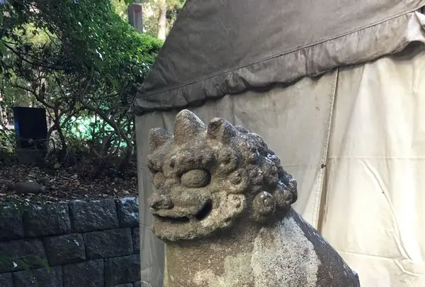 大崎八幡宮の写真・動画_image_171162