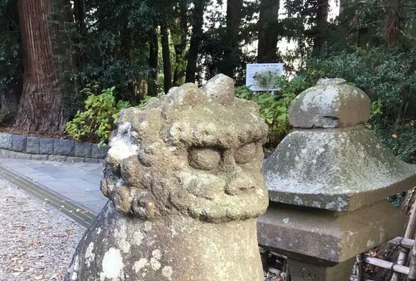 大崎八幡宮の写真・動画_image_171163