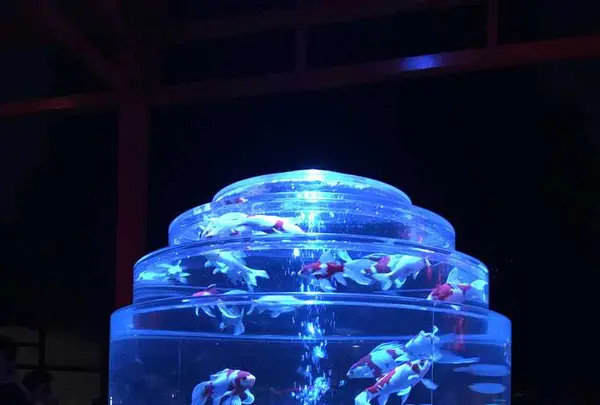 元離宮 二条城の写真・動画_image_171215