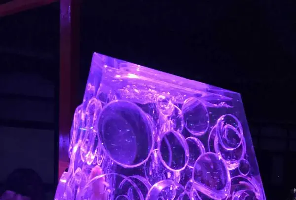 元離宮 二条城の写真・動画_image_171216