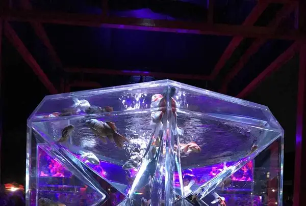 元離宮 二条城の写真・動画_image_171217