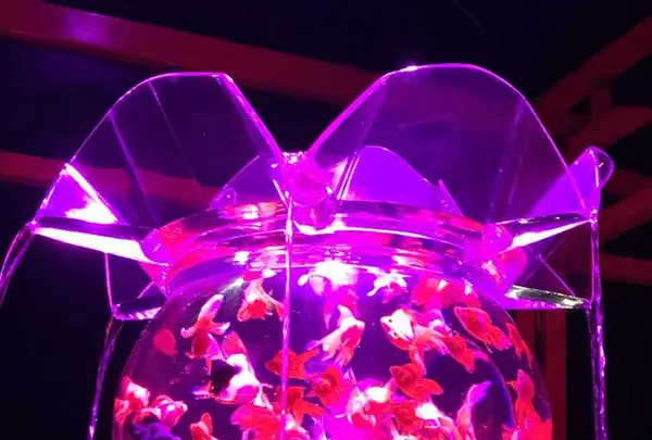 元離宮 二条城の写真・動画_image_171219