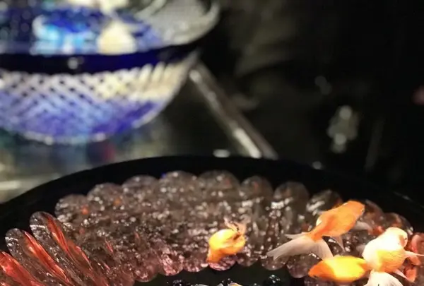 元離宮 二条城の写真・動画_image_171220