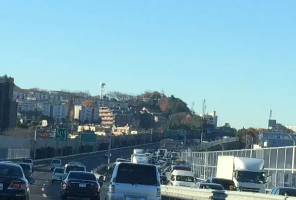 東名高速道路の写真・動画_image_171334