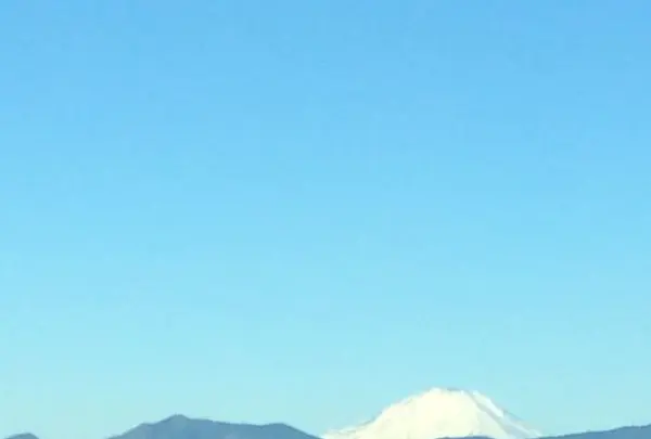 海老名サービスエリアの写真・動画_image_171349
