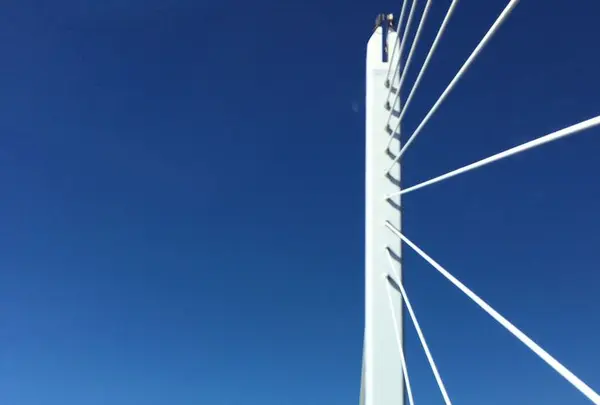 東真土の写真・動画_image_171353