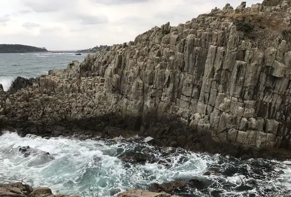 東尋坊の写真・動画_image_171371