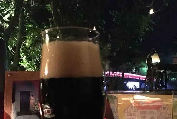 BAR 赤い橋の写真・動画_image_171377
