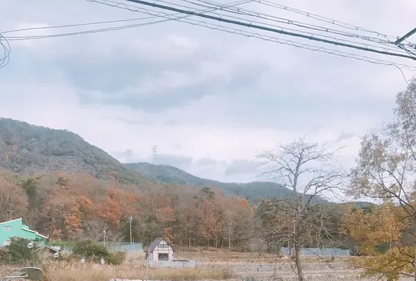 toitoitoi bake houseの写真・動画_image_171489
