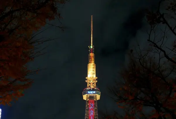 セントラルパークの写真・動画_image_171492