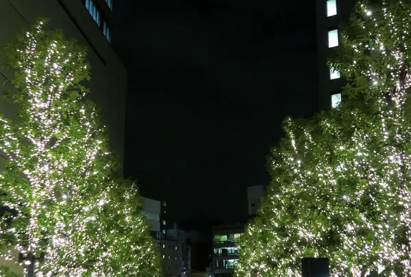 名古屋駅の写真・動画_image_171501