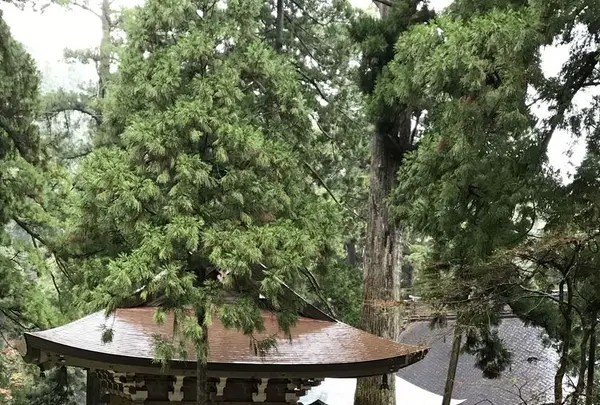 大本山永平寺の写真・動画_image_171591