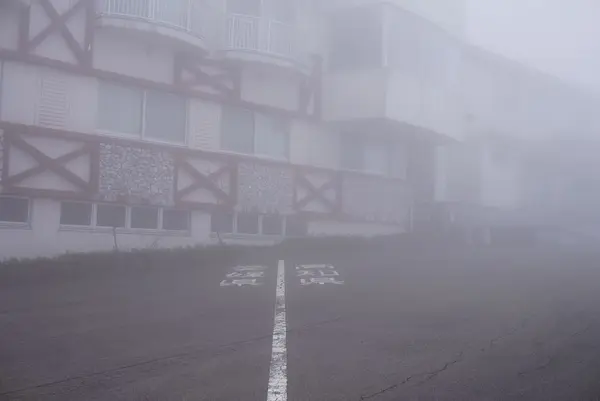 四国カルストの写真・動画_image_171663