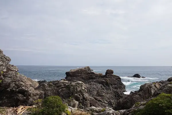 室戸岬の写真・動画_image_171681