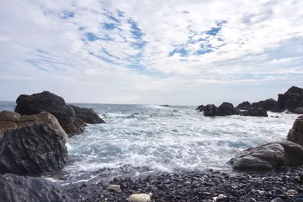 室戸岬の写真・動画_image_171682