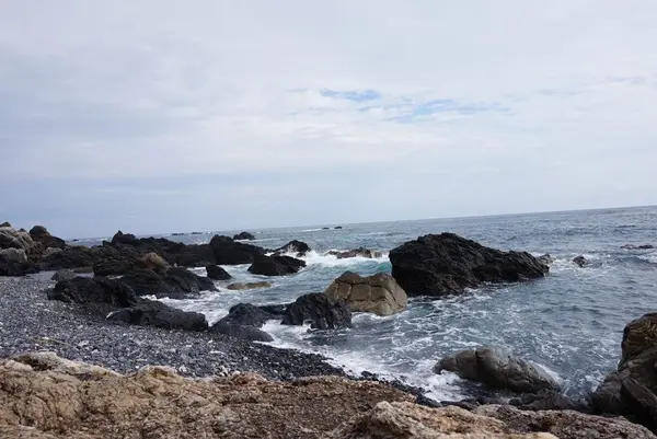 室戸岬の写真・動画_image_171683