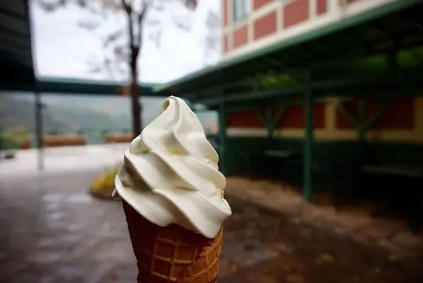 北川村「モネの庭」マルモッタンの写真・動画_image_171700