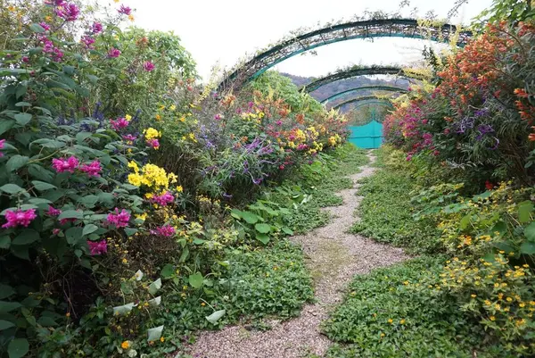 北川村「モネの庭」マルモッタンの写真・動画_image_171714