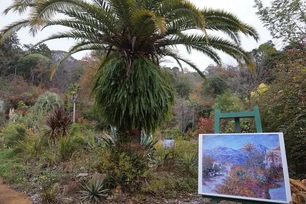 北川村「モネの庭」マルモッタンの写真・動画_image_171720