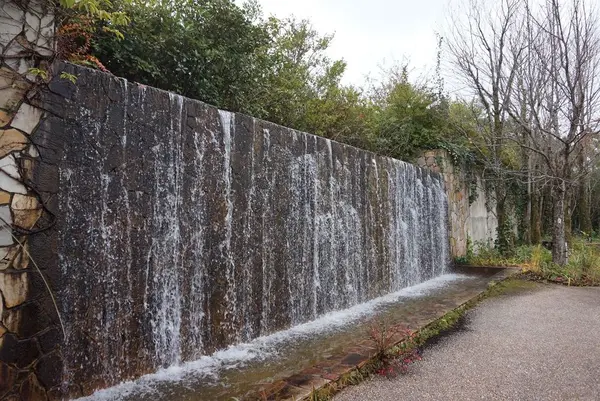 北川村「モネの庭」マルモッタンの写真・動画_image_171721