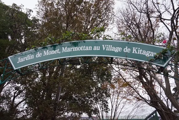 北川村「モネの庭」マルモッタンの写真・動画_image_171725