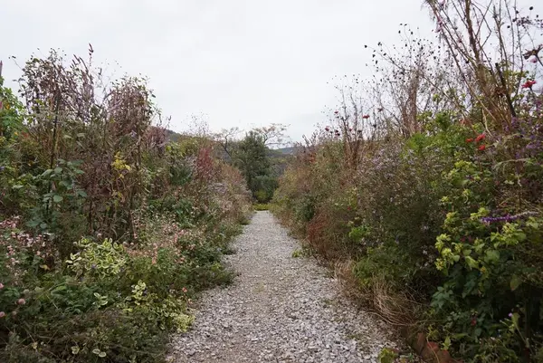 北川村「モネの庭」マルモッタンの写真・動画_image_171727