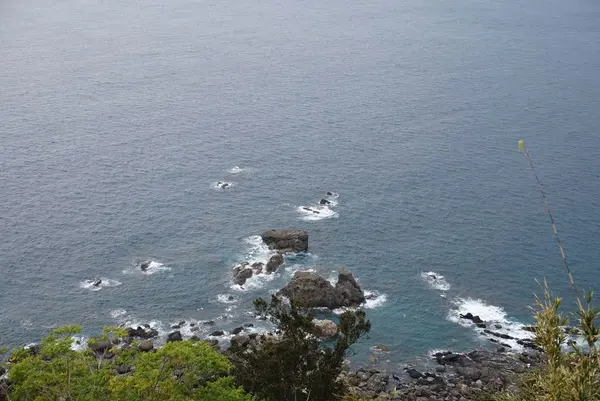 室戸岬灯台の写真・動画_image_171746