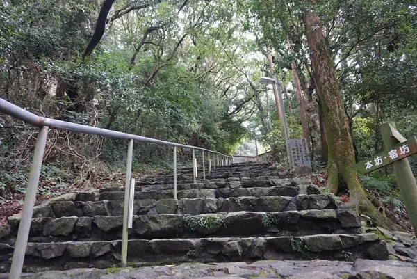 室戸岬灯台の写真・動画_image_171748