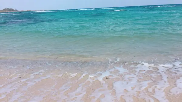 土盛海岸の写真・動画_image_171875