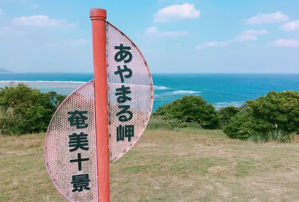 あやまる岬観光公園の写真・動画_image_171877