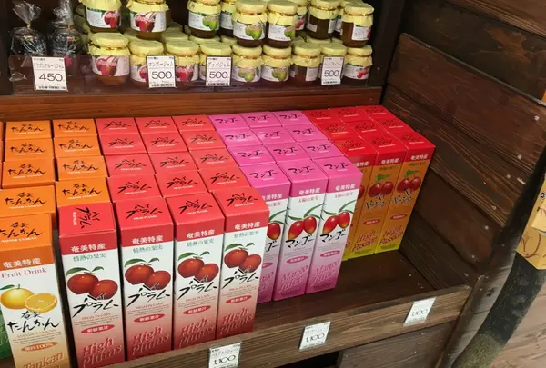ビッグツー奄美店の写真・動画_image_171900