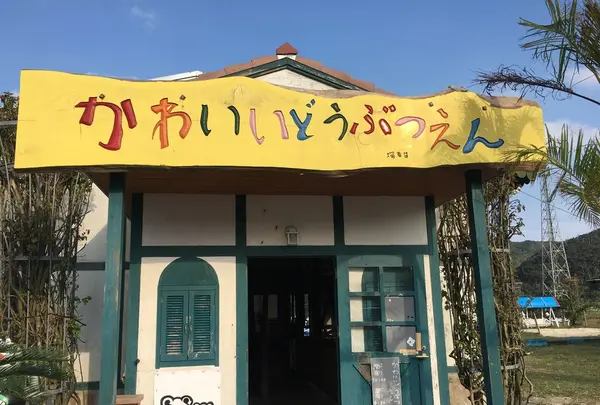 ビッグツー奄美店の写真・動画_image_171905
