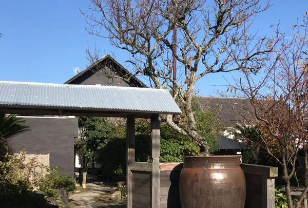 伊豆 陶芸 えんのかまの写真・動画_image_171961
