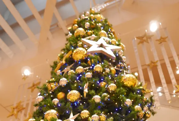 カラフルタウン岐阜の写真・動画_image_172567