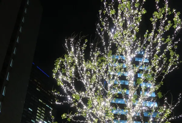 名駅4丁目9−8の写真・動画_image_172579