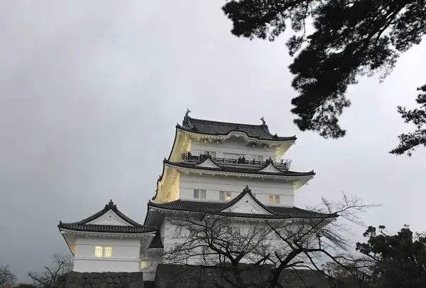 小田原城の写真・動画_image_172652