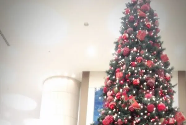 東京ドームホテルの写真・動画_image_172744