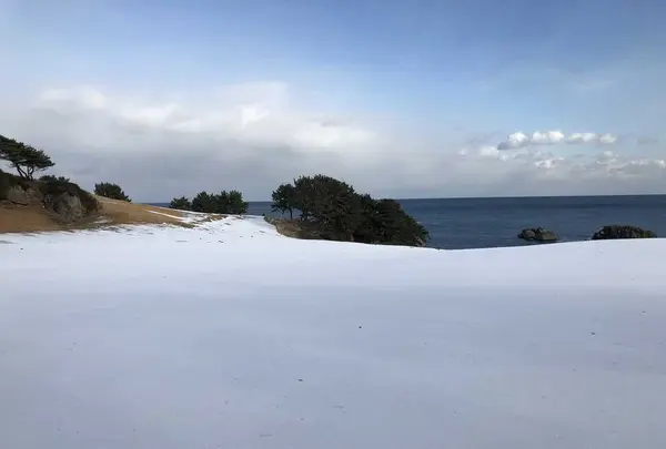 種差海岸の写真・動画_image_172874