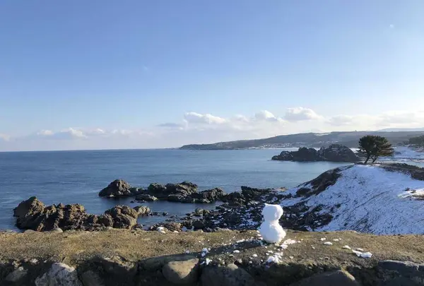 種差海岸の写真・動画_image_172877