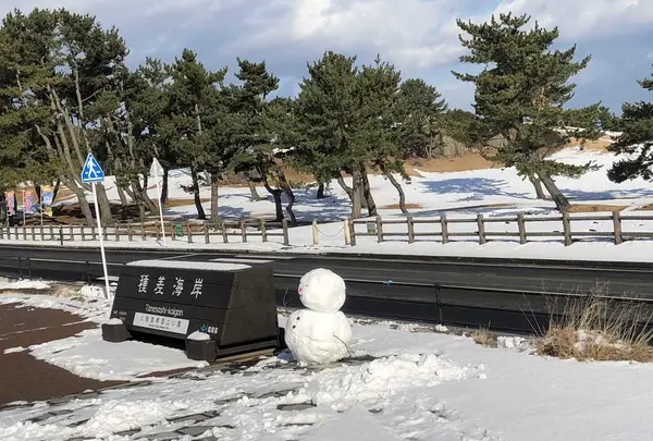 種差海岸の写真・動画_image_172878
