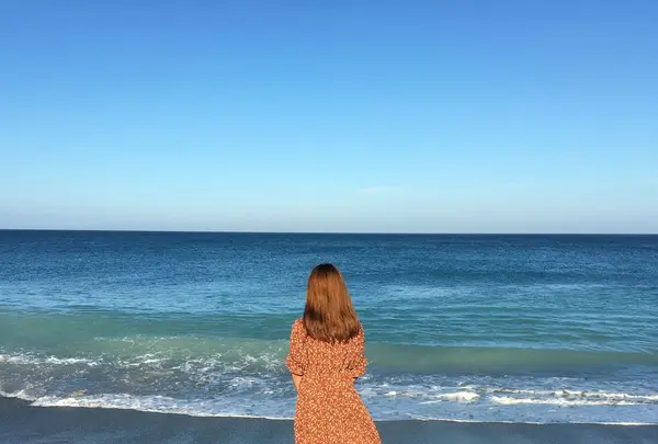 羽伏浦海岸の写真・動画_image_172991