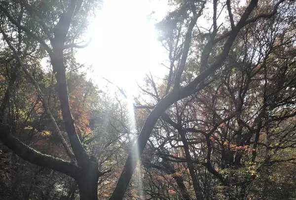 マゼノ渓谷の写真・動画_image_173042