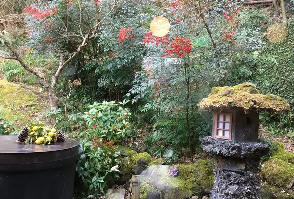 三芳家の写真・動画_image_173255