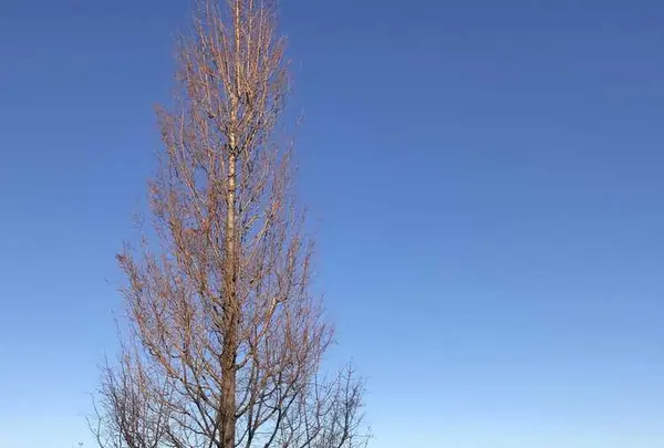 伊豆高原ステンドグラス美術館の写真・動画_image_173375