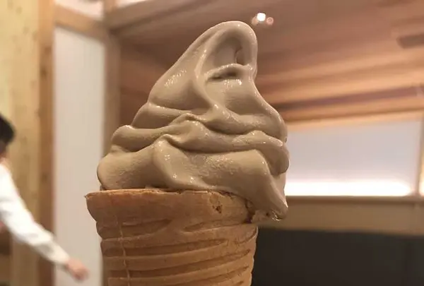 賛否両論 寄り道の写真・動画_image_173397