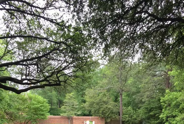 The Colonial Williamsburg Foundationの写真・動画_image_173479