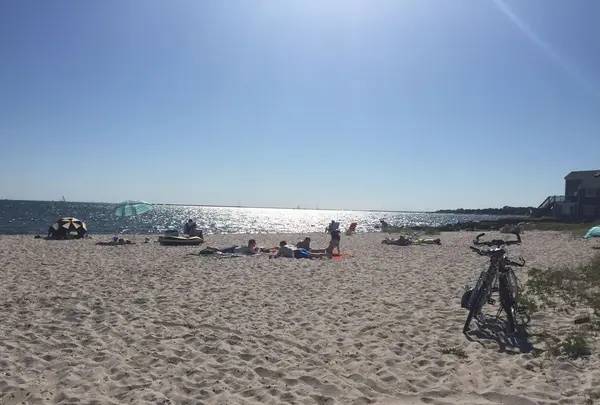 コッド岬の写真・動画_image_173510