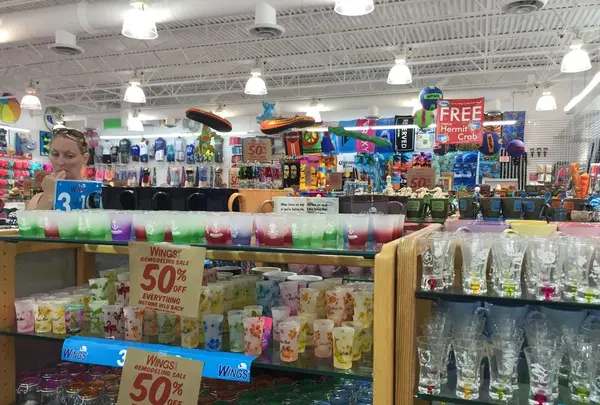 コッド岬の写真・動画_image_173511